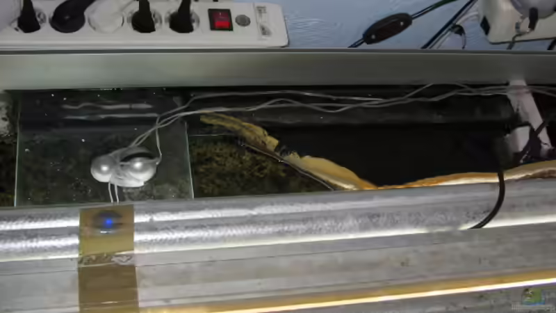 Hauptkammer rechts/ 2x2cmFilterschwamm/rechts u. links 98x9cm L/B      von Axel Borck (9)