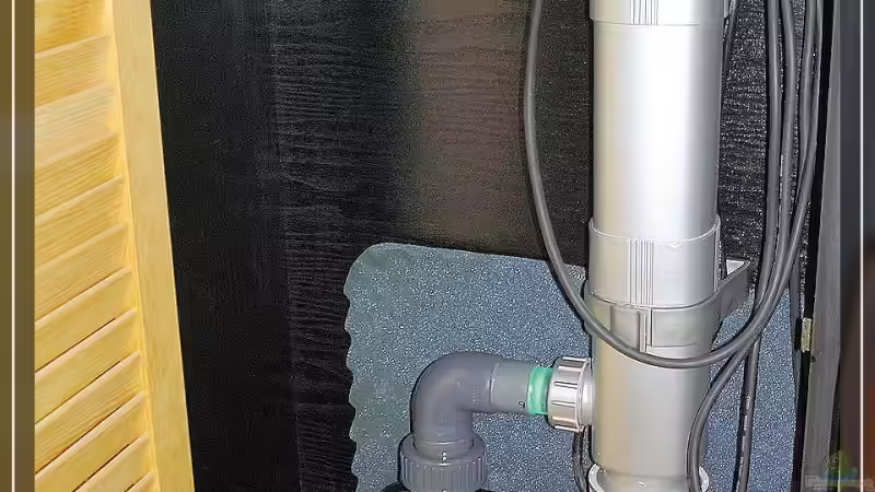 Hauptpumpe & UV- Entkeimer von Holger Rauhe (11)