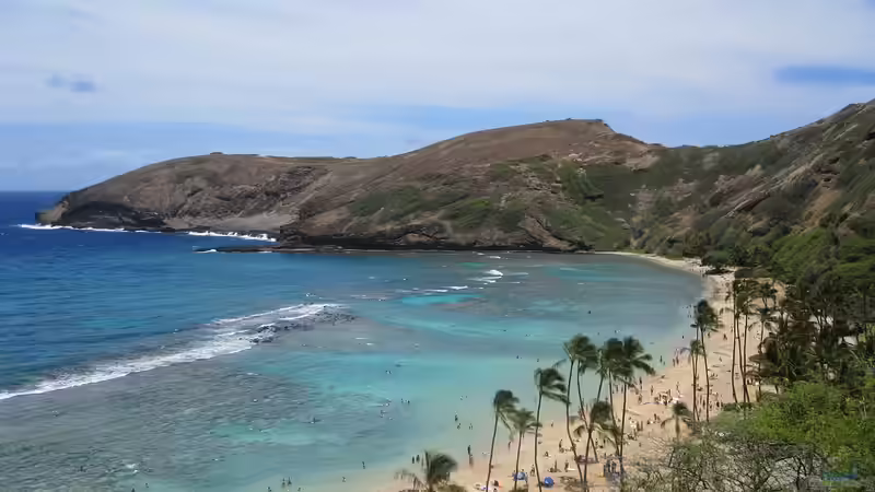 Hawaii - Ein einzigartiges Naturparadies zwischen Ozean, Riff und Regenwald