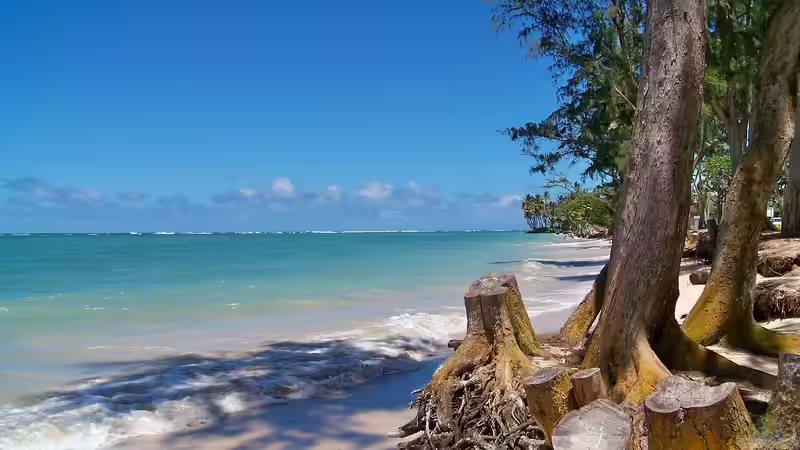 Hawaii - Ein einzigartiges Naturparadies zwischen Ozean, Riff und Regenwald