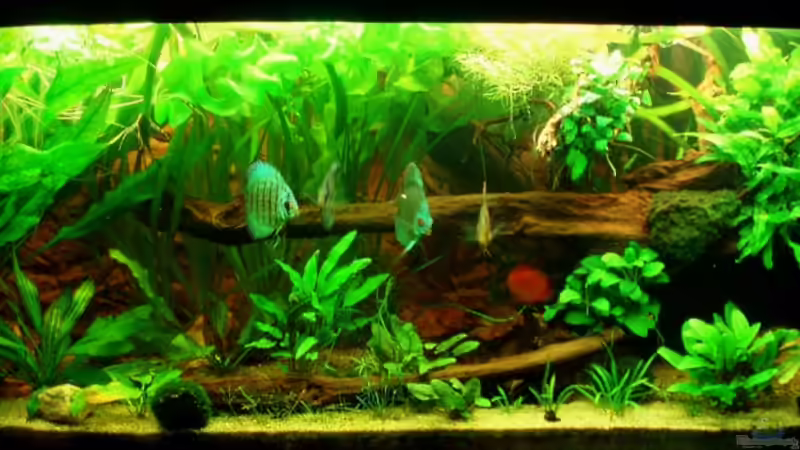 HB 12.06.11 von ~Marco~ (9)