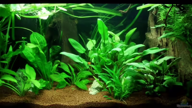 HB 16.07.11 von ~Marco~ (4)