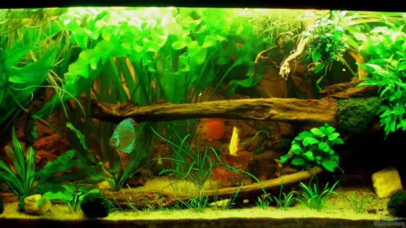 HB 29.05.11 von ~Marco~ (10)