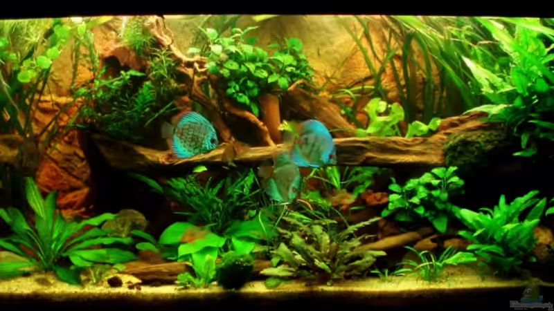 HB vom 27.09.11 von ~Marco~ (5)