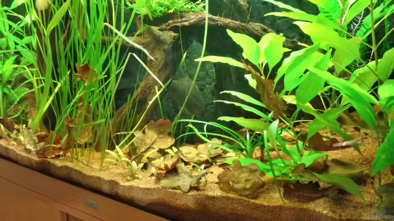 HDR Aufhellung von NRW (33)