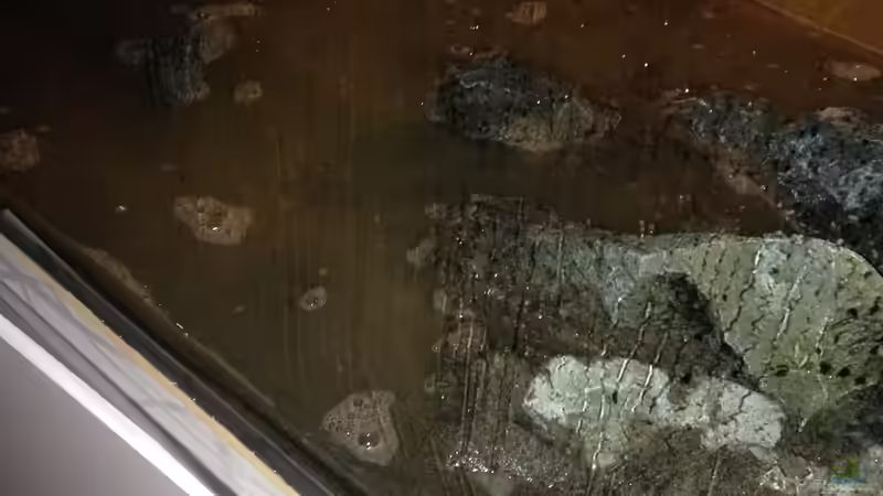 heftige Pfütze :-) von Swenni (14)