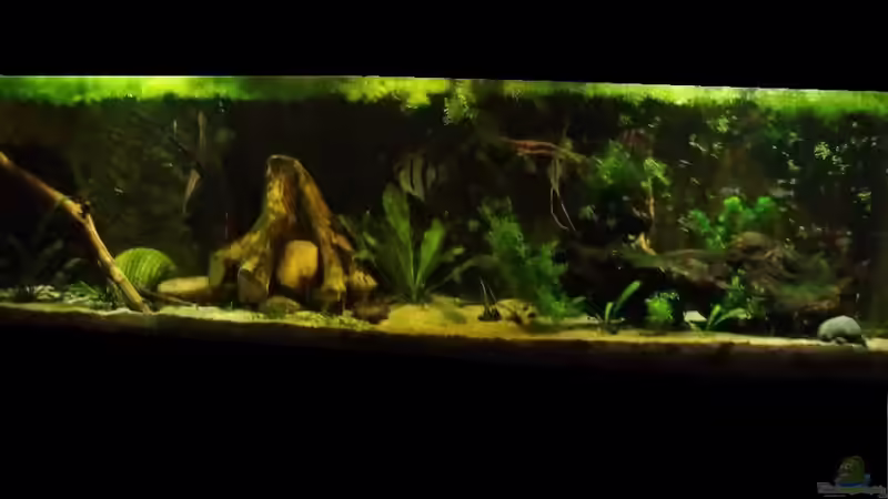 Heimat der Segelflosser Oktober 2014