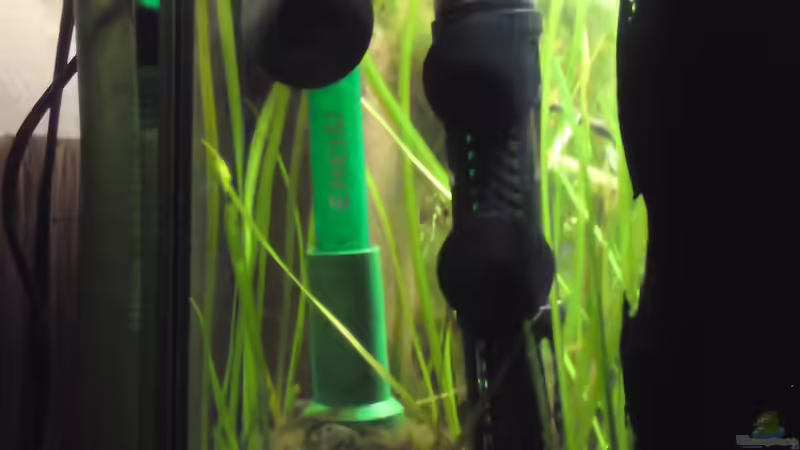 Heizer / Ph-Sensor / Filter / Temp. Fühler  von bluestime (19)