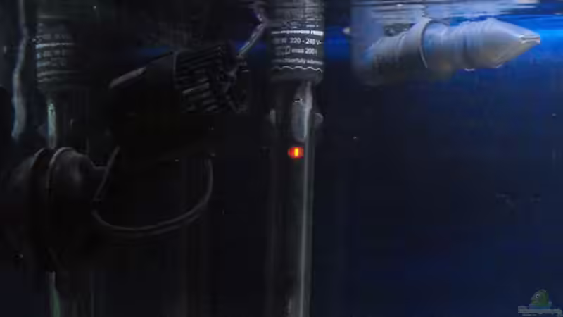 Heizer-Eheim Filterauslauf-Strömungspumpe von fisch (6)