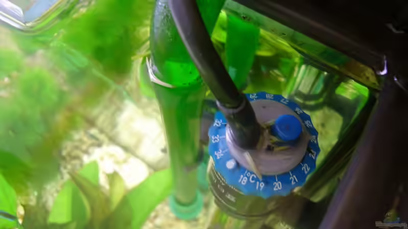 Heizer oben von aquaman29 (10)