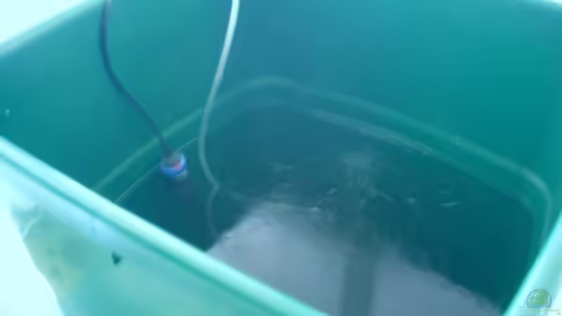 Heizer und Belüfter bei Neugestaltung (Zwischenquartier Regentonne für die Fische) von nemo0109 (23)