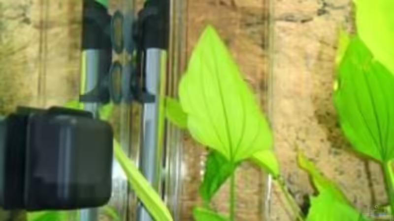 Heizer und CO2 Maxi Flipper von Stefanie Engelhardt (18)