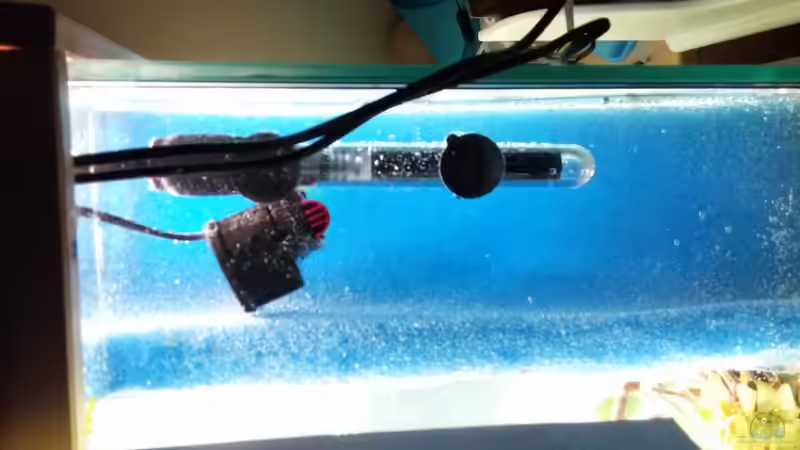 Heizer und Pumpe hinter dem HMF von KleinerPlaty (21)