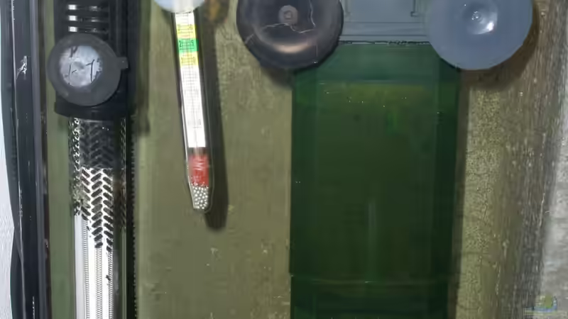 Heizstab / Eheim PowerLine von Yejo (19)