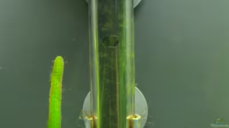 Heizstab 150 Watt von Alexander Eckel (24)