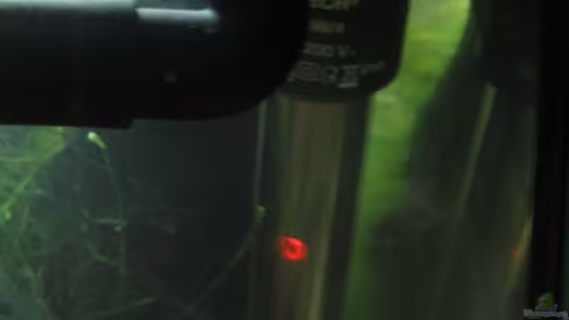 Heizstab 50W Vitakraft (17.02.09) von Frank Förster (11)