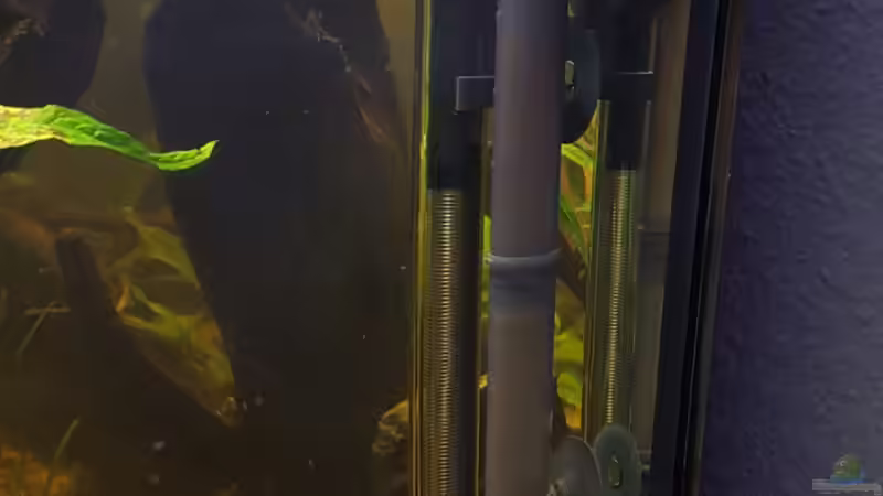 Heizstab+Filtereinlauf+pH Elektrode von Johannes L. (39)