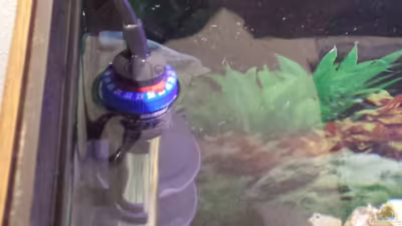 Heizstab und Ansaug sowie Ablaufseite von Thomas Riemenschneider (25)