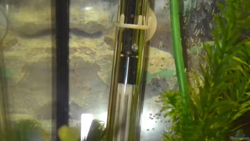 Heizstab und Blasen der Sauerstoffpumpe von Lilobär (16)