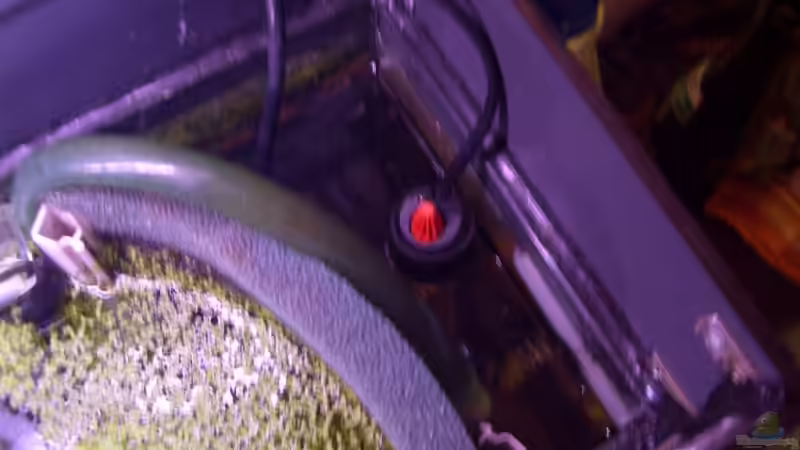 Heizstab und Pumpe hinter HMF von Thomas Zips (17)