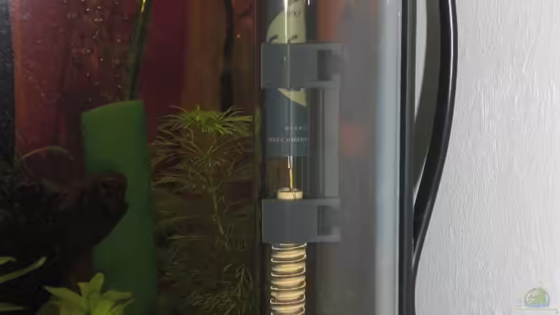 Heizstab von Dennerle, 25 W von Malawi TOM (13)