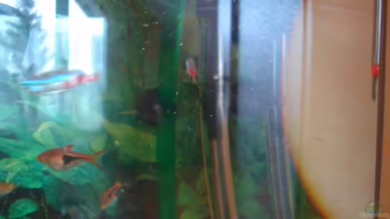 Heizstab von Jäger 100W von aquaman29 (8)