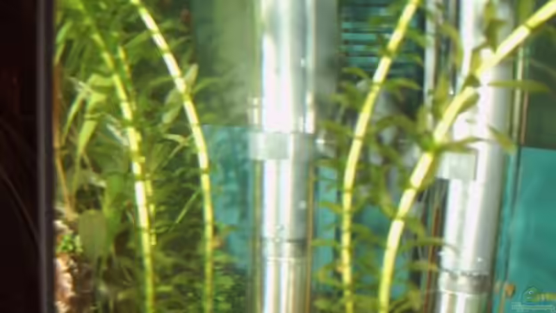 Heizstab von Tobias Zimpel (16)