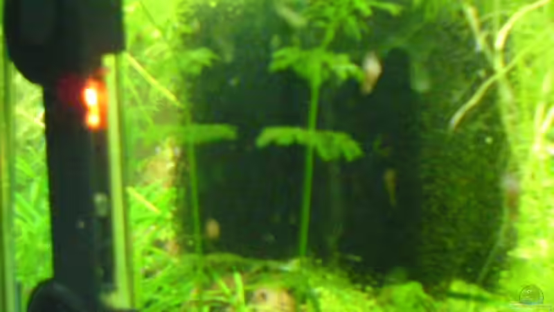 Heizung + Vorfilterkammer von Joschka Bienhüls (10)