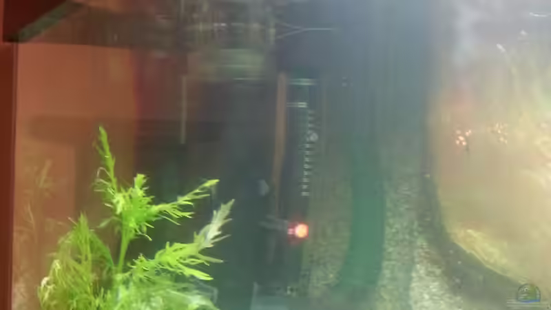 Heizung und Oberlächenabsaugung von Michael Boeck (27)