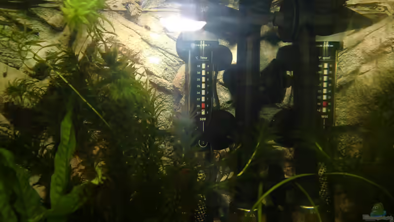 Heizung von HOTU (38)