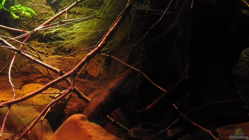 Hell Dunkel Grenze von Alex S (21)