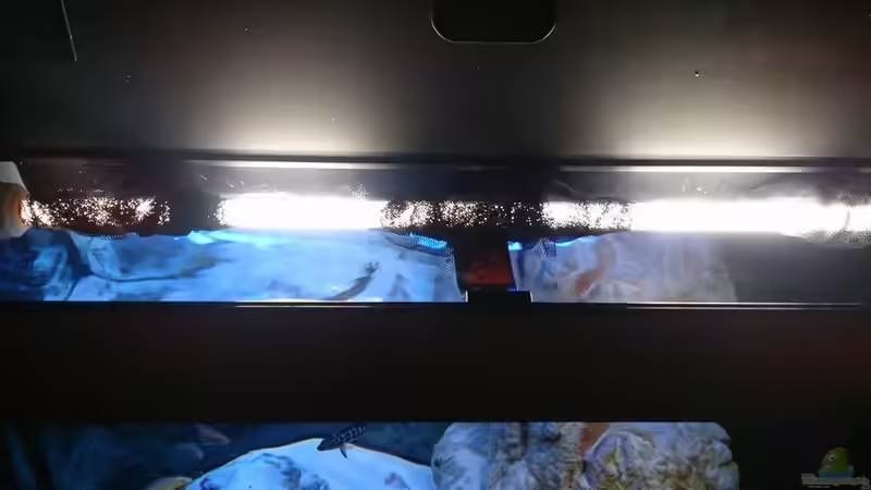 Helle Lampe von PhilGabriel (11)