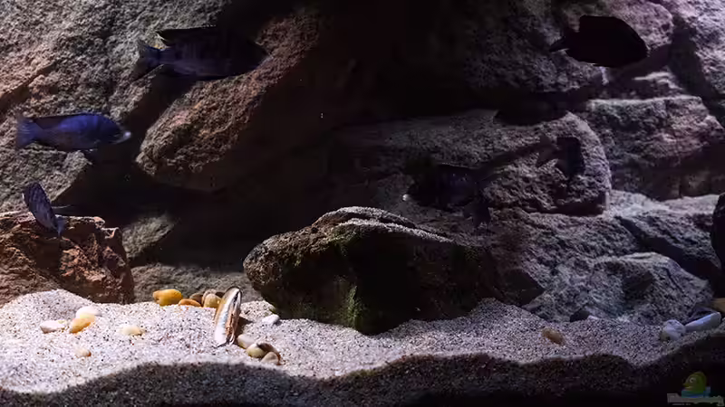 heller Stein wurde ersetzt.. [mittlerer Bereich] von AjakAndi (7)