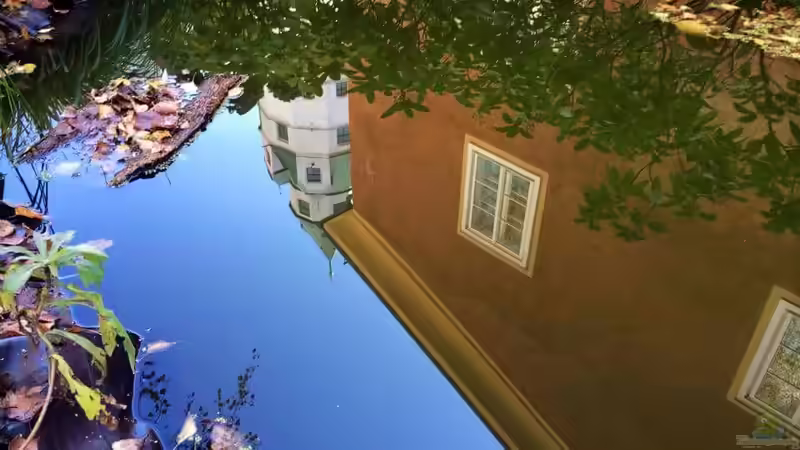 Herbst - das Haller Wahrzeichen, der Münzerturm spiegelt sich... von Helga Kury (2)