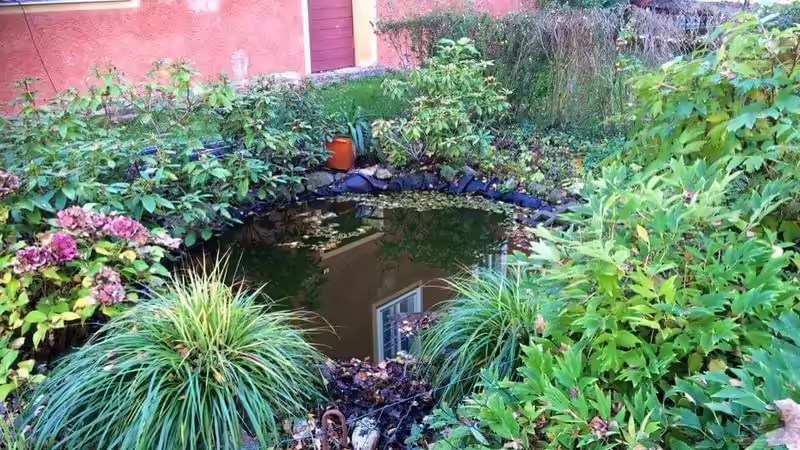 Herbst - rechts wächst eine Pfingstrose... von Helga Kury (3)