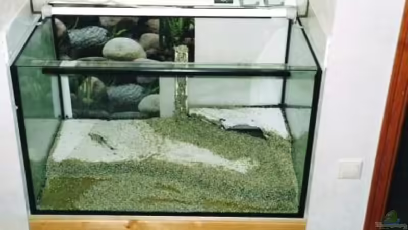 Herbst 2004 von timme (2)