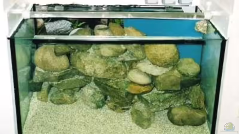 Herbst 2004 von timme (4)