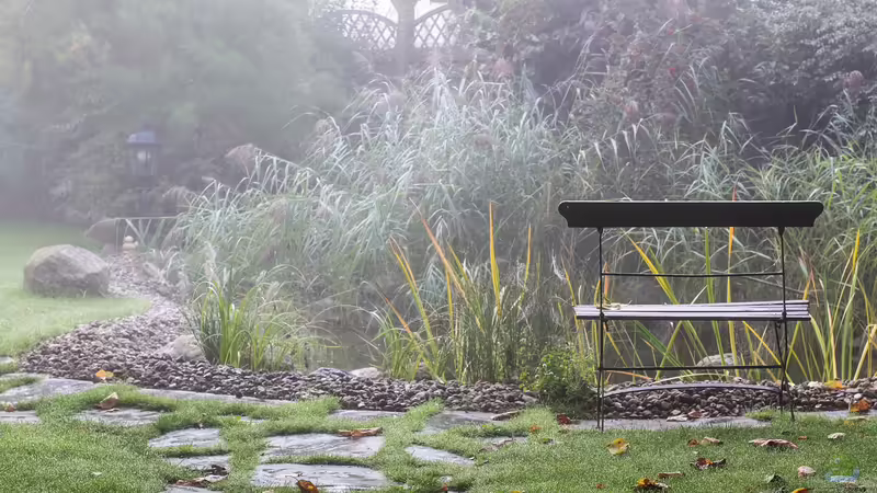 Herbst am Teich: Farbenpracht und Struktur