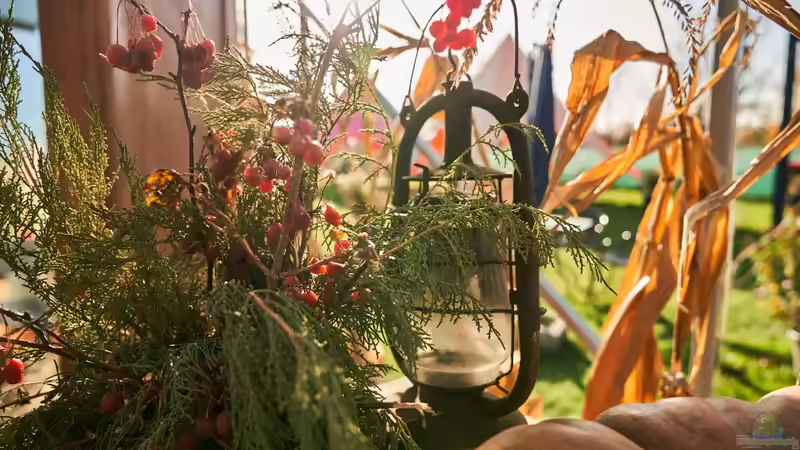 Herbst-Deko Trends 2025: Ideen für Garten und Teich