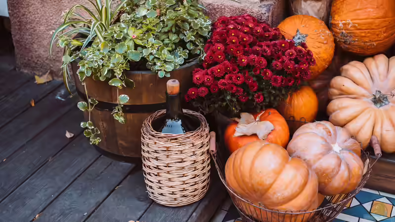 Herbst-Deko Trends 2025: Ideen für Garten und Teich