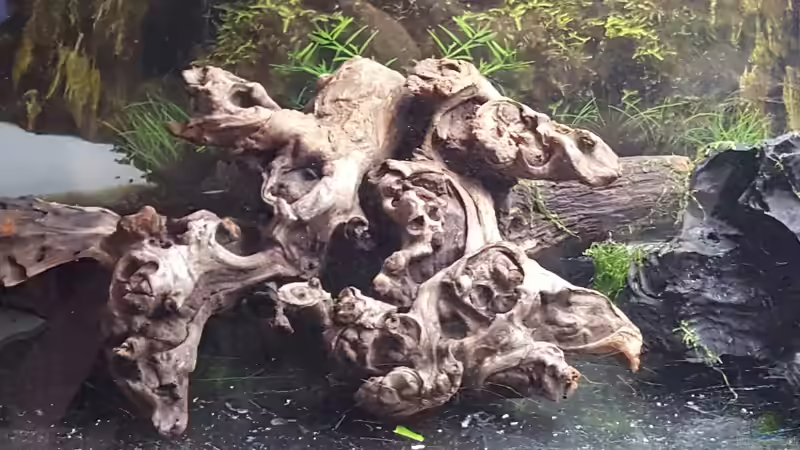 Herzstück der Einrichtung von painless Tdb-music (17)