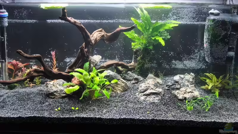 heut mal mit dem Einrichten angefangen...... von Microsash (2)