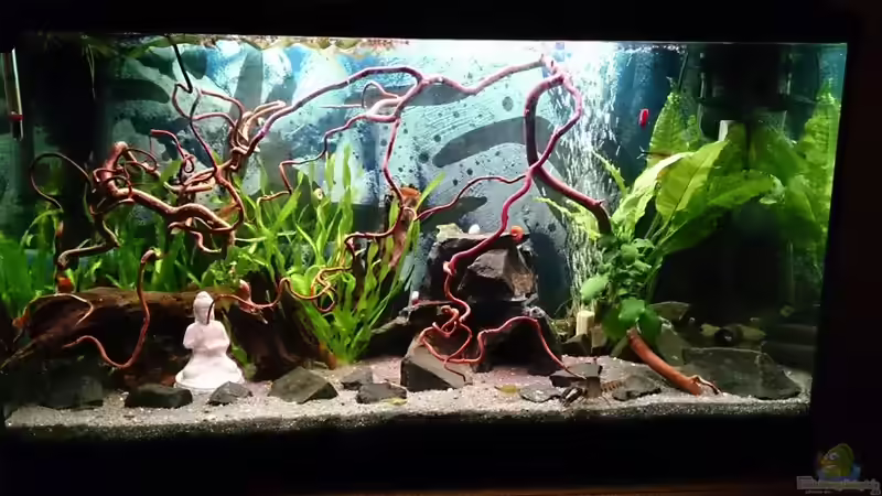 Heute 1.9.16 neues Foto hochgeladen