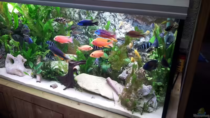 Heute morgen 10.30 von Alex Häussler (1)