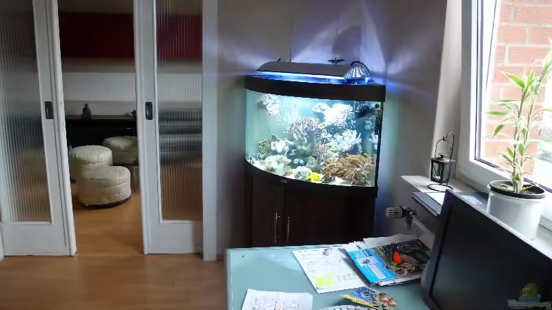 heute nach 9 Monaten von Marcel Fischer (3)