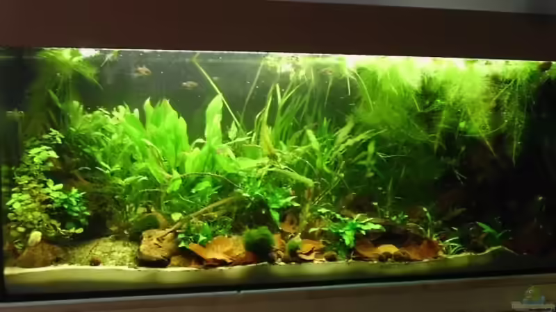 heute von Nils Müller (3)