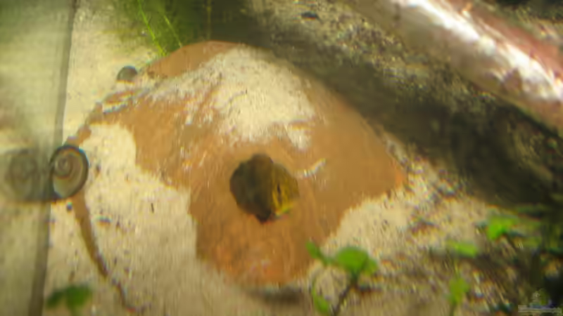 Hexe in der Höhle von chrisi01 (20)