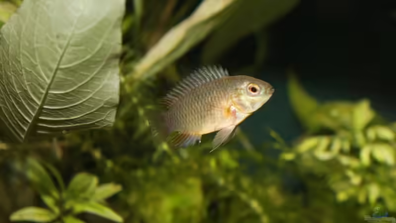 Hexe mit meiner neuen Canon EOS 1100D von chrisi01 (23)