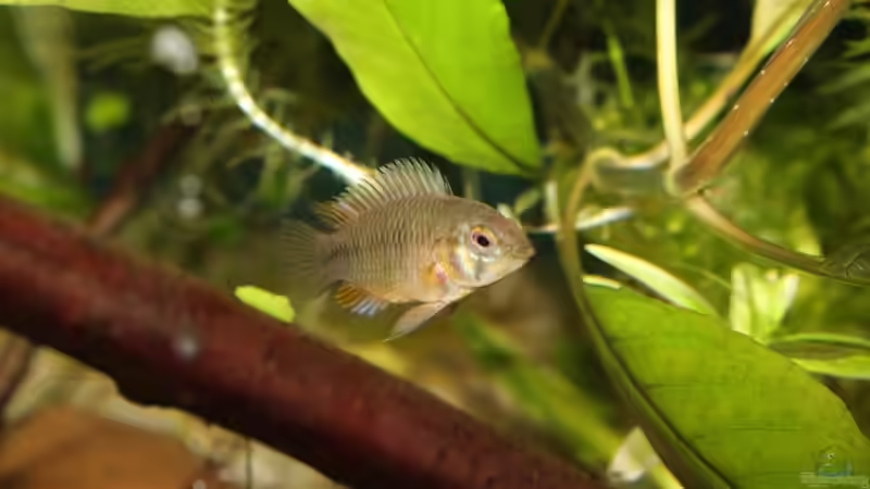 Hexe mit meiner neuen Canon EOS 1100D von chrisi01 (24)