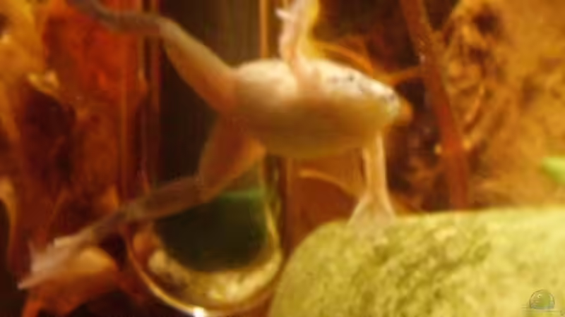 Hi fans, alles easy ? von Sandra Stoffels (13)